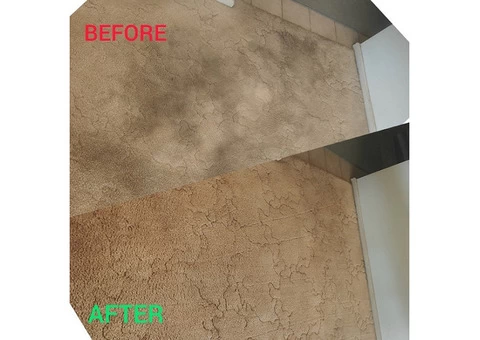Hire experts for quality end of lease carpet cleaning services