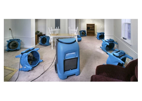 Are You Searching for the Best Mattress Cleaner in Camberwell?