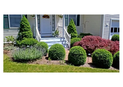 Affordable Commercial Landscape Gardeners in Melbourne