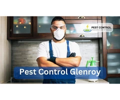 Pest Control Glenroy VIC 3046