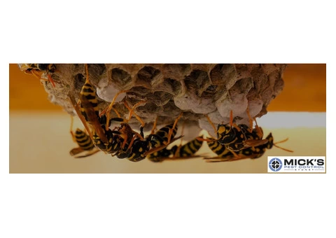 Mick's Bee Removal Sydney