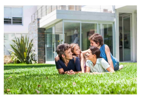 The Best Lawn Paint In Australia - Green Up Your Lawn