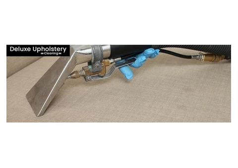 Upholstery Cleaning in Lyons