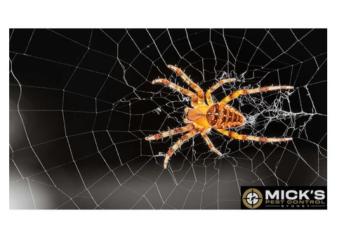 Mick's Spider Control Sydney - 2/2