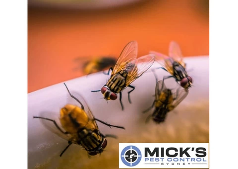 Mick's Flies Control Sydney