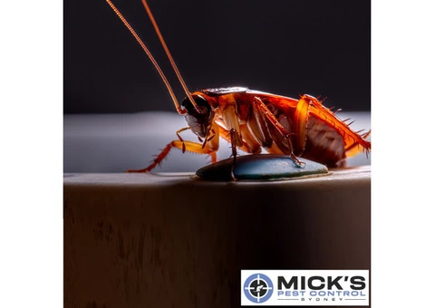 Mick's Cockroach Control Sydney