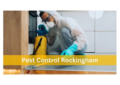 Pest Control Rockingham