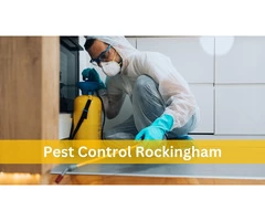 Pest Control Rockingham