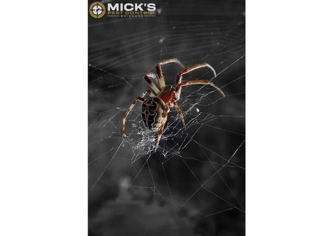 Mick's Spider Control Brisbane - 2/2