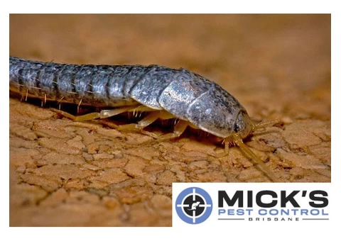 Mick's Silverfish Control Brisbane - 2/2