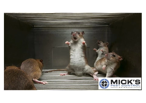 Mick's Rodent Control Brisbane - 2/2