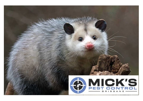 Mick's Possum Removal Brisbane - 2/2