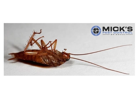 Mick's Cockroach Control Brisbane - 3/3