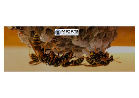 Mick's Bee Removal Brisbane