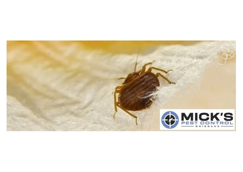 Mick's Bed Bug Control Brisbane