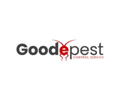 Goode Possum Removal Adelaide