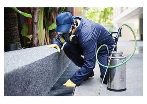 Pest Control Penrith