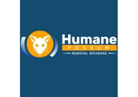 Humane Possum Removal Gilston - 2/7