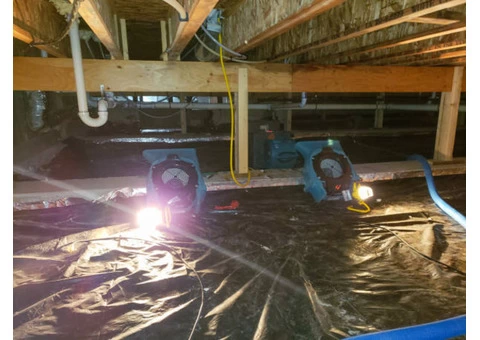 Spotless Flood Damage Restoration Sydney