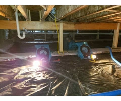 Spotless Flood Damage Restoration Sydney