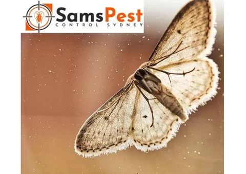 SAMS Moth Control Sydney