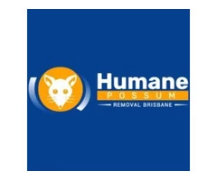 Humane Possum Removal Gold Coast