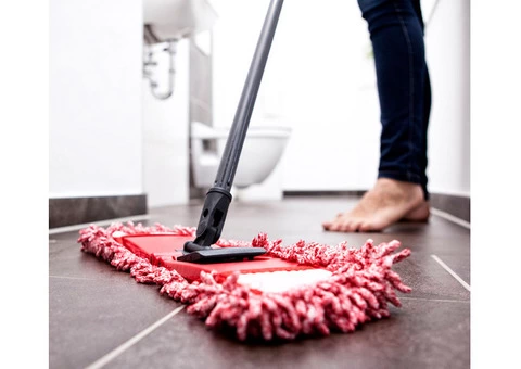Make Your House Clean and Tidy by Hiring Professional Hose Cleaning in Sydney