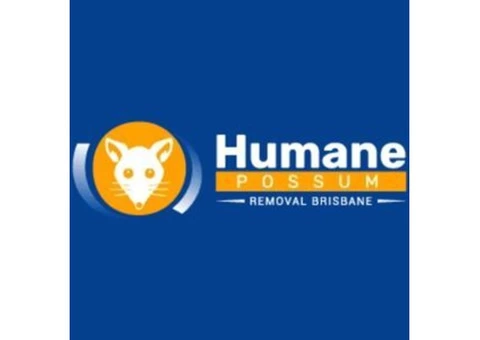 Humane Possum Removal Sunshine Coast - 1/7