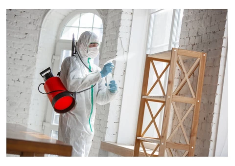 Al-Maani Pest Control Guarantees Premium Residential Pest Control