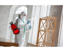 Al-Maani Pest Control Guarantees Premium Residential Pest Control