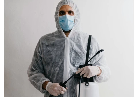 Spider Pest Control Melbourne