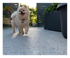 Learn About The Advantages of an Epoxy Sealed Floor from Top Epoxy Flooring in Perth