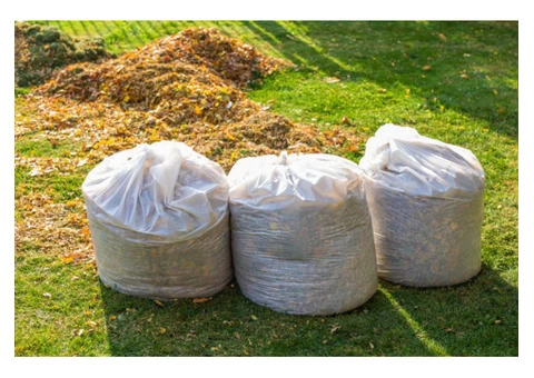 Need Green Waste Removal in Brisbane?