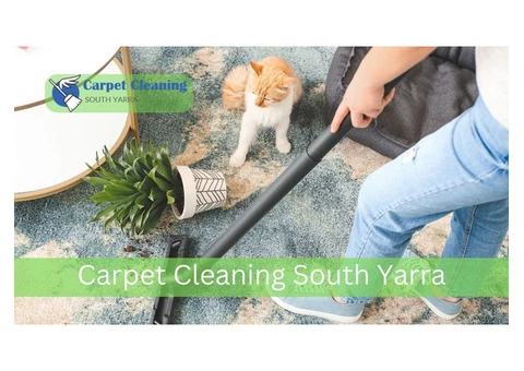 South Yarra Carpet Cleaning VIC, 3141