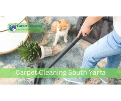 South Yarra Carpet Cleaning VIC, 3141
