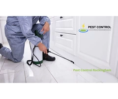 Rockingham Pest Control  WA 6168