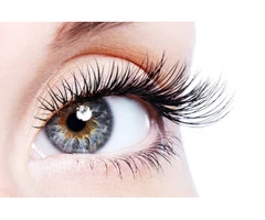 Tint and Lift Lashes Near Me | Best Eyelash Lift and Tint Near Me | Waxing Queen Salon