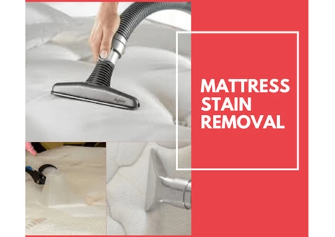 Mattress Cleaning Kelvin Grove - 1/7