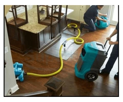 Looking For Flood Repair and Flood Restoration Adelaide Service?