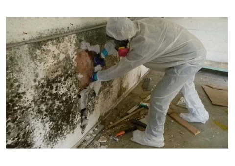 Looking For Flood Repair and Flood Restoration Perth Service?