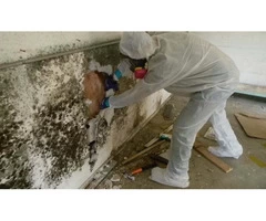 Looking For Flood Repair and Flood Restoration Perth Service?