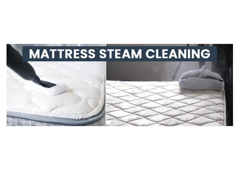 Mattress Cleaning Burleigh Waters - 6/8