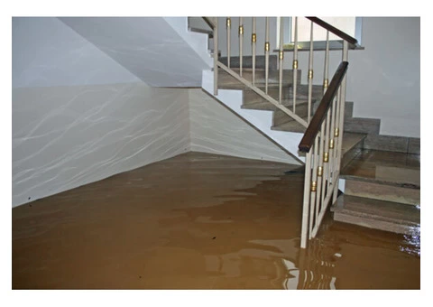 Pros Flood Damage Restoration Sydney - 1/4