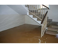 Pros Flood Damage Restoration Sydney