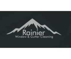 Rainier Window, Moss Removal Woodinville