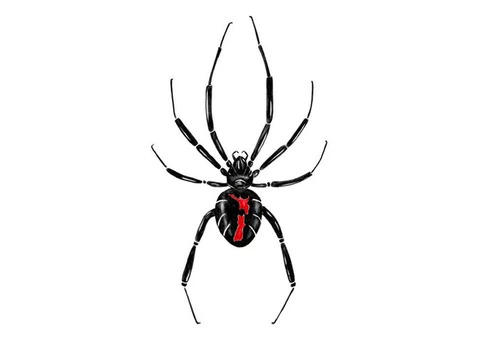 711 Pest Control Melbourne - 7/8