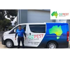 Termite Control  - Oz Pest Adelaide