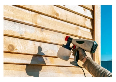 Termite Inspection Brisbane