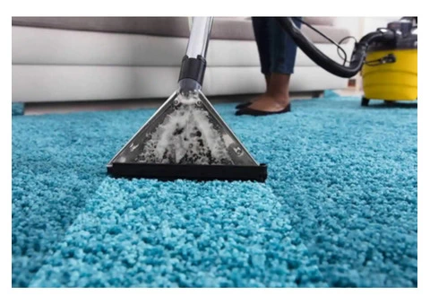 Carpet Cleaning Caulfield North | Carpet Cleaners Caulfield North | 03 9000 5256