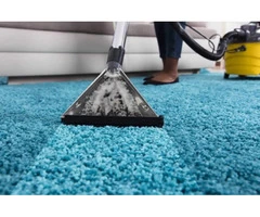Carpet Cleaning Caulfield North | Carpet Cleaners Caulfield North | 03 9000 5256